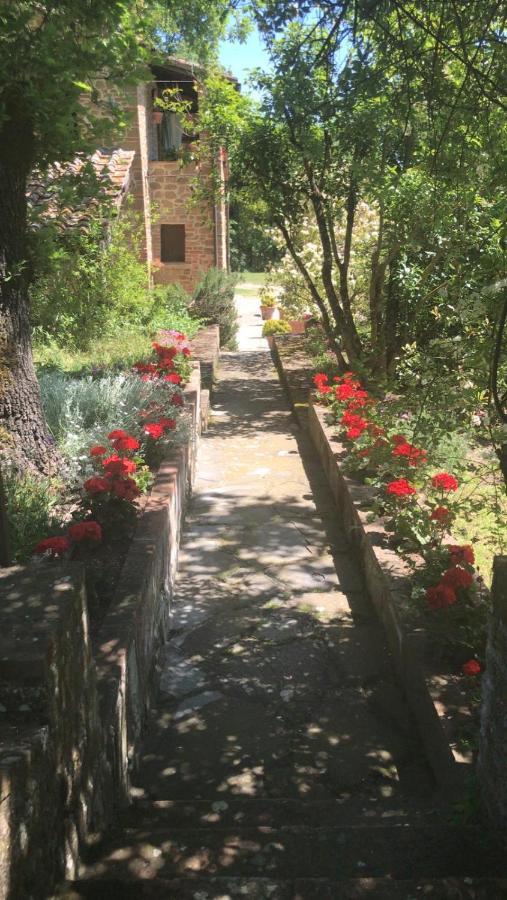 La Berchiera Appartement Ciggiano Buitenkant foto
