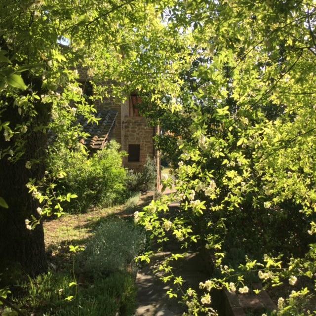 La Berchiera Appartement Ciggiano Buitenkant foto