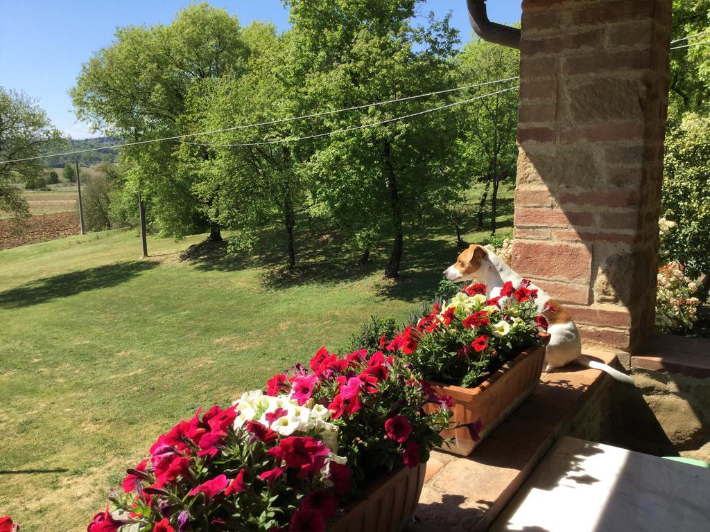 La Berchiera Appartement Ciggiano Buitenkant foto