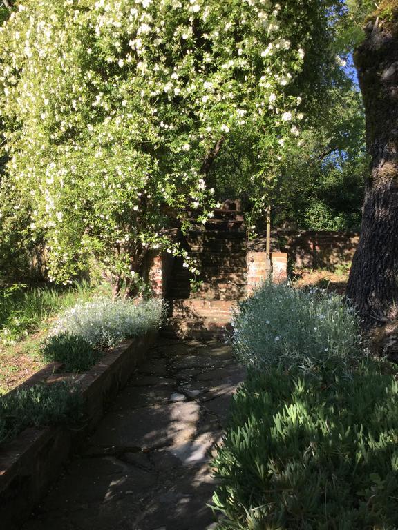 La Berchiera Appartement Ciggiano Buitenkant foto