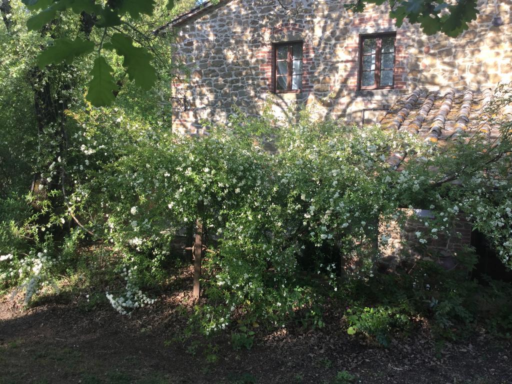 La Berchiera Appartement Ciggiano Buitenkant foto